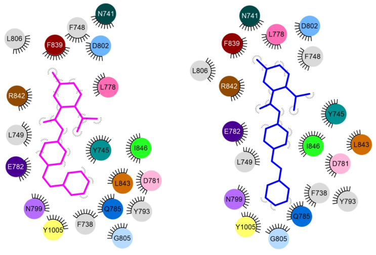 Graphical abstract for the publication: "Optical Control of TRPM8 Channels with Photoswitchable Menthol”