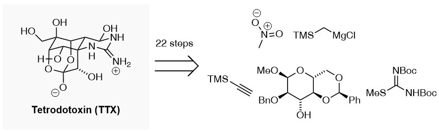 Graphical abstract for the publication: “A concise synthesis of tetrodotoxin”