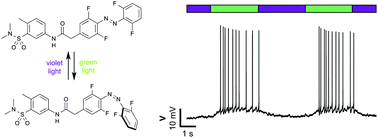 Graphical abstract for the publication: “Optical Control of GIRK Channels Using Visible Light.“