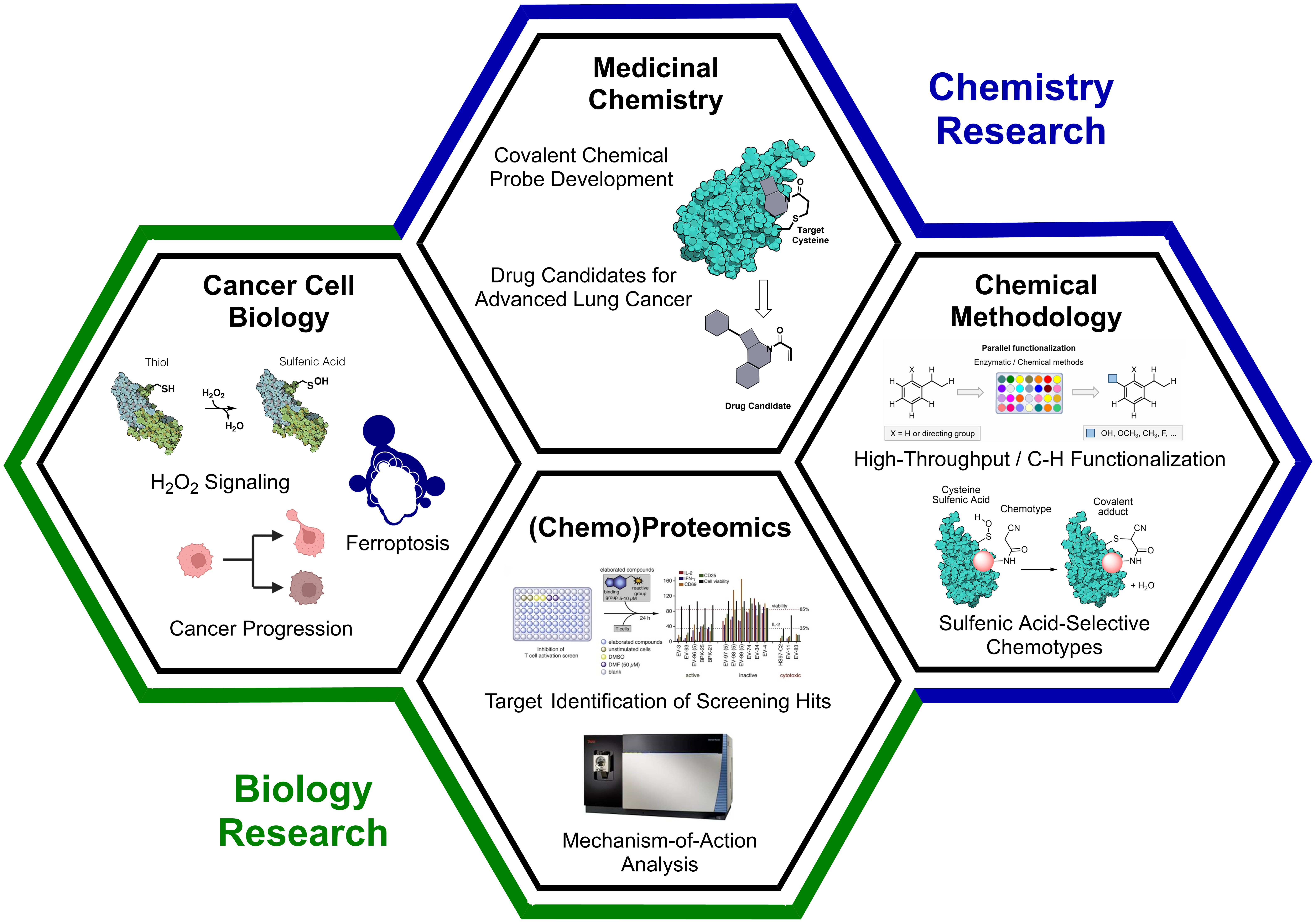 Overview of the research topics pursued by the Konrad laboratory, divided into biology research, specifically cancer cell biology and (chemo)proteomics, and chemistry research, specifically medicinal chemistry and chemical methodology development.